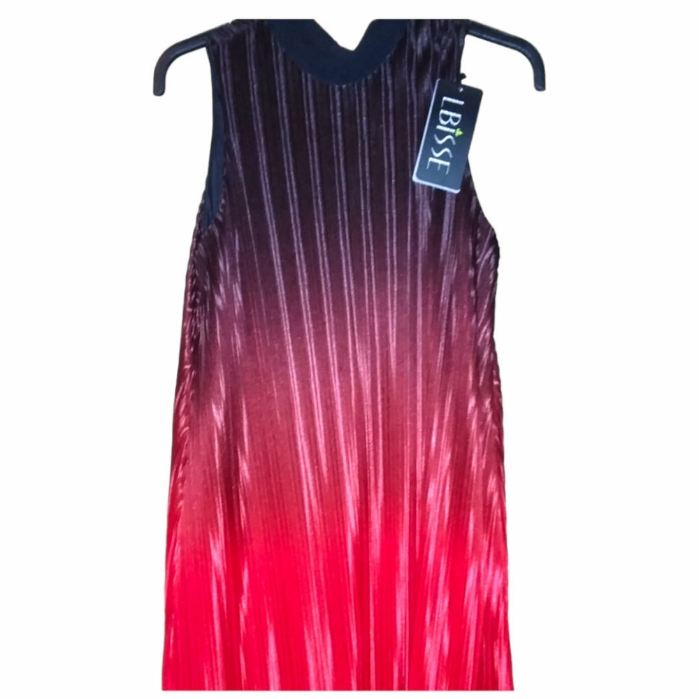 ⭐HP⭐ NWT - LBISSE Red / Black Hombre Pleated Shift Dress
